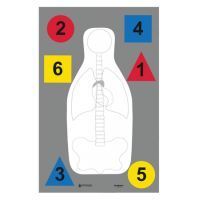 Law Enforcement Targets DT-ANTQ-A MultiPurpose FBI-Q/Vital Anatomy/Commands 23x35 Inch 100 Per Case DT-ANT-A