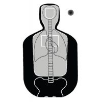 Law Enforcement Targets F-TQ15ANT-A Vital Anatomy/TQ-19 Scoring Target Gray/Black 23x35 Inch 100 Per Case F-TQ19ANT-A