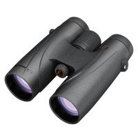 Leupold BX-4 McKinley HD 10X42mm Roof Black