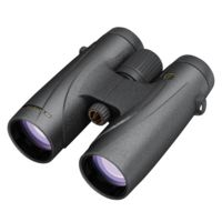 Leupold BX-4 McKinley HD 8X42mm Roof Black