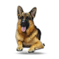 Lifelike Pillows Custom Dog Shaped Pillow