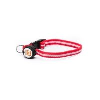 Mace Nite Beams - Led Pet Collar