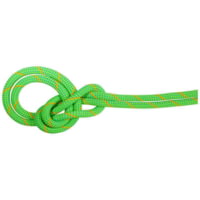 Mammut 9.5 Crag Eco Dry Rope