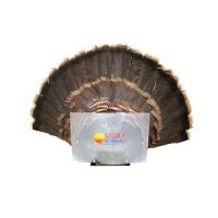 Mojo Fan Press Decoy
