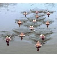 Mojo Jerk A Spreader