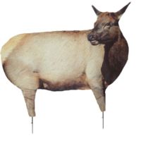 Montana Decoy Co. Cow Elk I Decoy