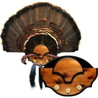 Mountain Mike's Beard Master Turkey Plaque Kit