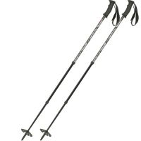 MSR Denali II Snow Poles