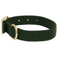 Mud River Scout Collar Nylon w/ Webbing &amp; Brass