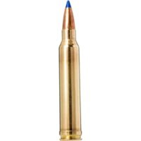 Norma Bondstrike .300 WIN MAG 180 Grain Lead Bonded Brass Cased Rifle Ammunition
