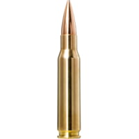 Norma Golden Target .308 WIN 168 Grain Boat Tail Hollow Point Brass Cased Rifle Ammunition