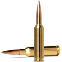 Norma MATCH 6mm Creedmoor 107gr Brass Cased Centerfire Rifle Ammunition