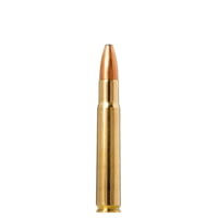 Norma Oryx 35 Whelen 250 Grain Brass Cased Rifle Ammunition