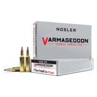 Nosler .17 Remington Fireball Flat Base Tipped 20 grain Brass Cased Rifle Ammunition