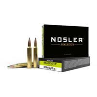 Nosler .300 Winchester Magnum 180 Grain Ballistic Tip Brass Cased Centerfire Rifle Ammunition