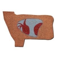 Oncore Targets Deer Vitals Self-Healing Archery Target
