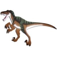 Oncore Targets Raptor Self-Healing Archery Target