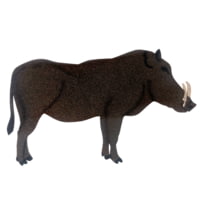 Oncore Targets Warthog Self-Healing Archery Target