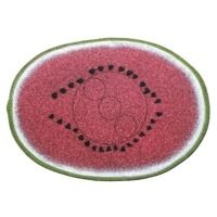 Oncore Targets Watermelon Self-Healing Archery Target