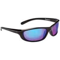 Optic Nerve Polarized