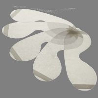 Paulson Manufacturing Clr Mylar Cover Lens 5 Pk