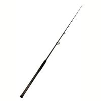 Penn Fishing BATIN2040S80/BATTA IN 20-40LB 8FT SPN 1338255