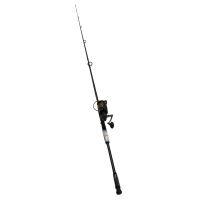 Penn Fishing BTLII8000102H/BTLII8000 10FT 2PC H CBO 1338233