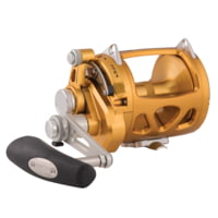 Penn Fishing International VISW Conventional Reel