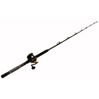 Penn Fishing SQL30LW2050C66/SQL30LW 6FT6 20-50LB CBO 1338236
