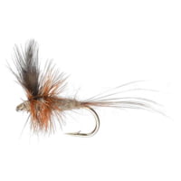 Perfect Hatch Dry Flies Adams