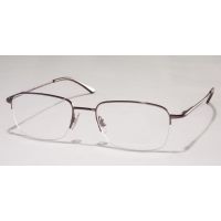 Polo Eyeglasses PH1001 with Rx Prescription Lenses