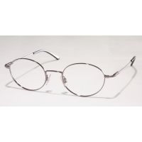 Polo Eyeglasses PH1007 with No-Line Progressive Rx Prescription Lenses