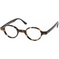Polo Eyeglasses PH2018 with Rx Prescription Lenses 