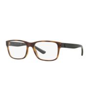 Polo PH2195 Prescription Eyeglasses