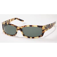 Polo PH4002 Sunglasses with No-Line Progressive Rx Prescription Lenses
