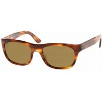 Polo Bifocal Sunglasses PH4025 with Lined Bi-Focal Rx Prescription Lenses