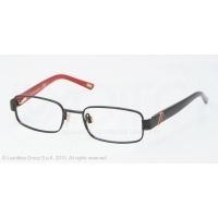 Polo PP8025 Progressive Prescription Eyeglasses
