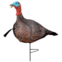 Name
