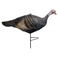 Name