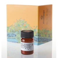 Promega Celltiter 96(r) Aqueous Mts 1g G1111