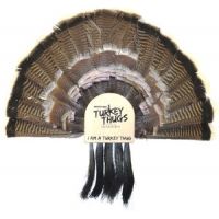 Quaker Boy Fan and Beard Holder - Turkey Display Mount