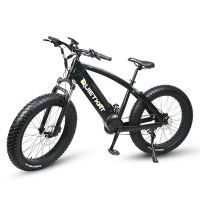 QuietKat Ranger 750W Electric Bike, w/ Rear Hub Motor, Chain Drive, 7 Speed, Suspension Fork, Mechanical Disc Brakes