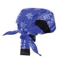Radians Arctic Skull Head Shade Blue Paisley RCS308