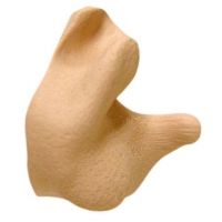 Radians Custom Molded Ear Plugs