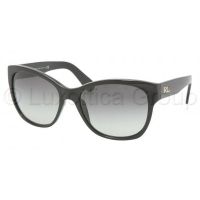 Ralph Lauren Sunglasses RL8053