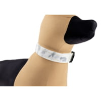 Raptor Tactical K9 ODIN Collars