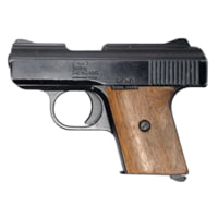Raven Arms MP-25 Pistol, .25 Auto, 2.5in barrel