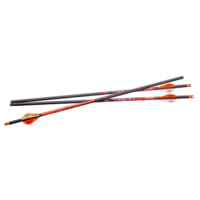 Ravin .003 Crossbow Bolts