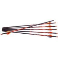 Ravin Xbow Arrow Carbon W/2in Offset Vanes 400gr .003in