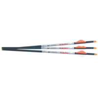 Ravin .003 R18 Lighted Arrows